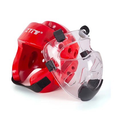 A Taekwondo/Karate fejőr